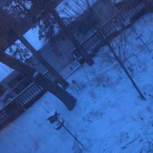 Meet your Posher, Kip